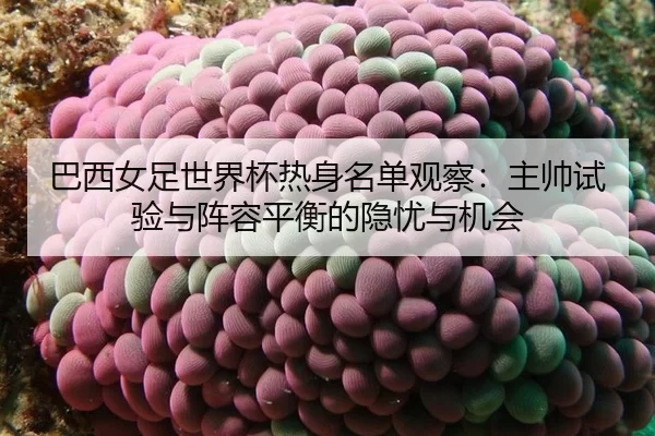 ba-xi-nv-zu-shi-jie-bei-re-shen-ming-dan-guan-cha-zhu-shuai-shi-yan-yu-zhen-rong-ping-heng-de-yin-you-yu-ji-hui-2-974.jpg